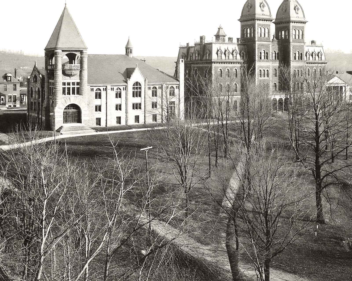 Washington & Jefferson College, Washington PA photo print