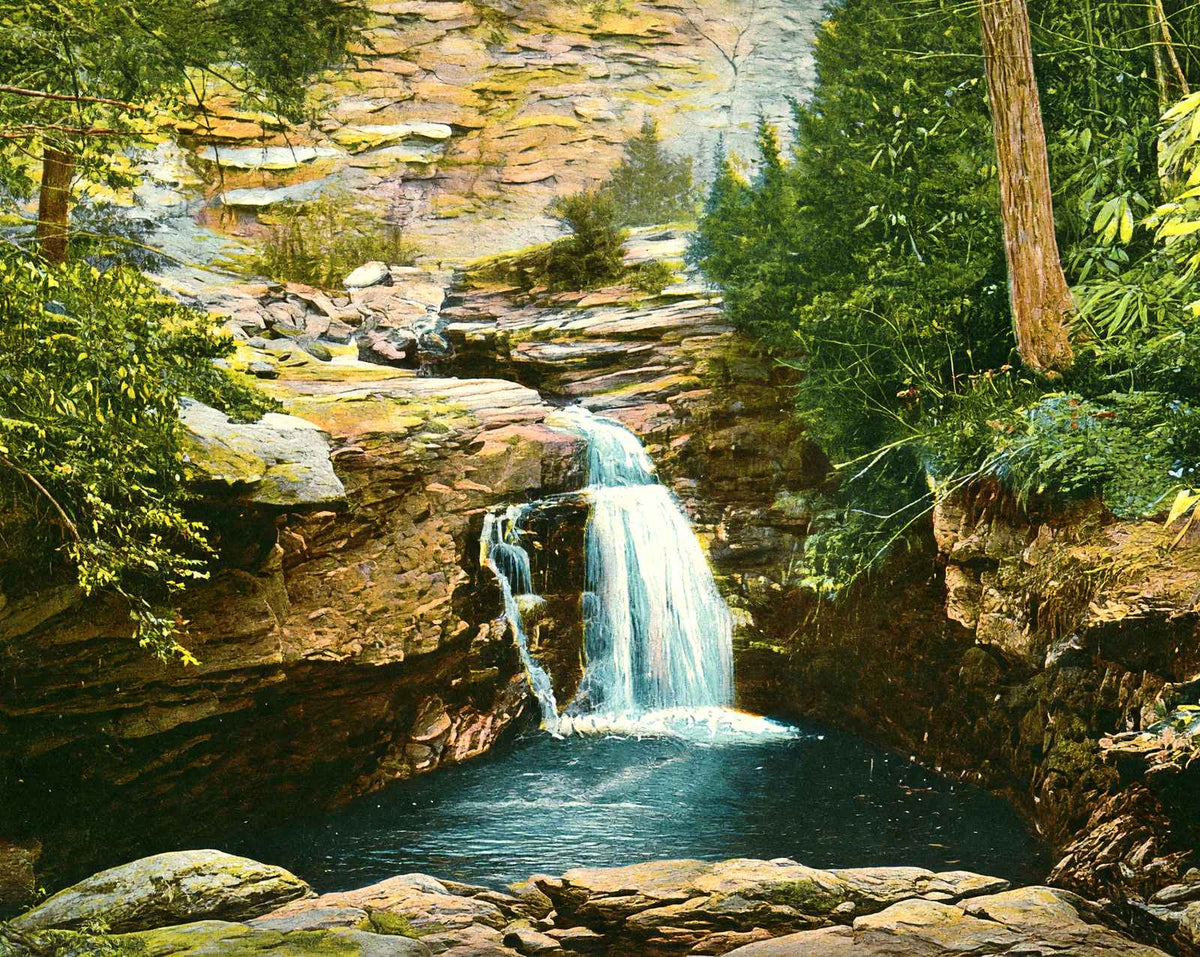 Falls at Nay Aug Park, Scranton, PA in 1907 vintage print