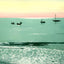 Clam Diggers, Atlantic City, NJ in 1901 vintage print