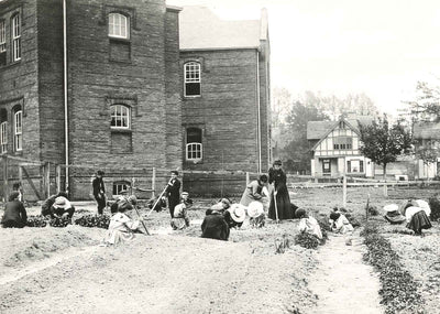 First-Grade Planting, Salisbury NC in 1905 vintage print