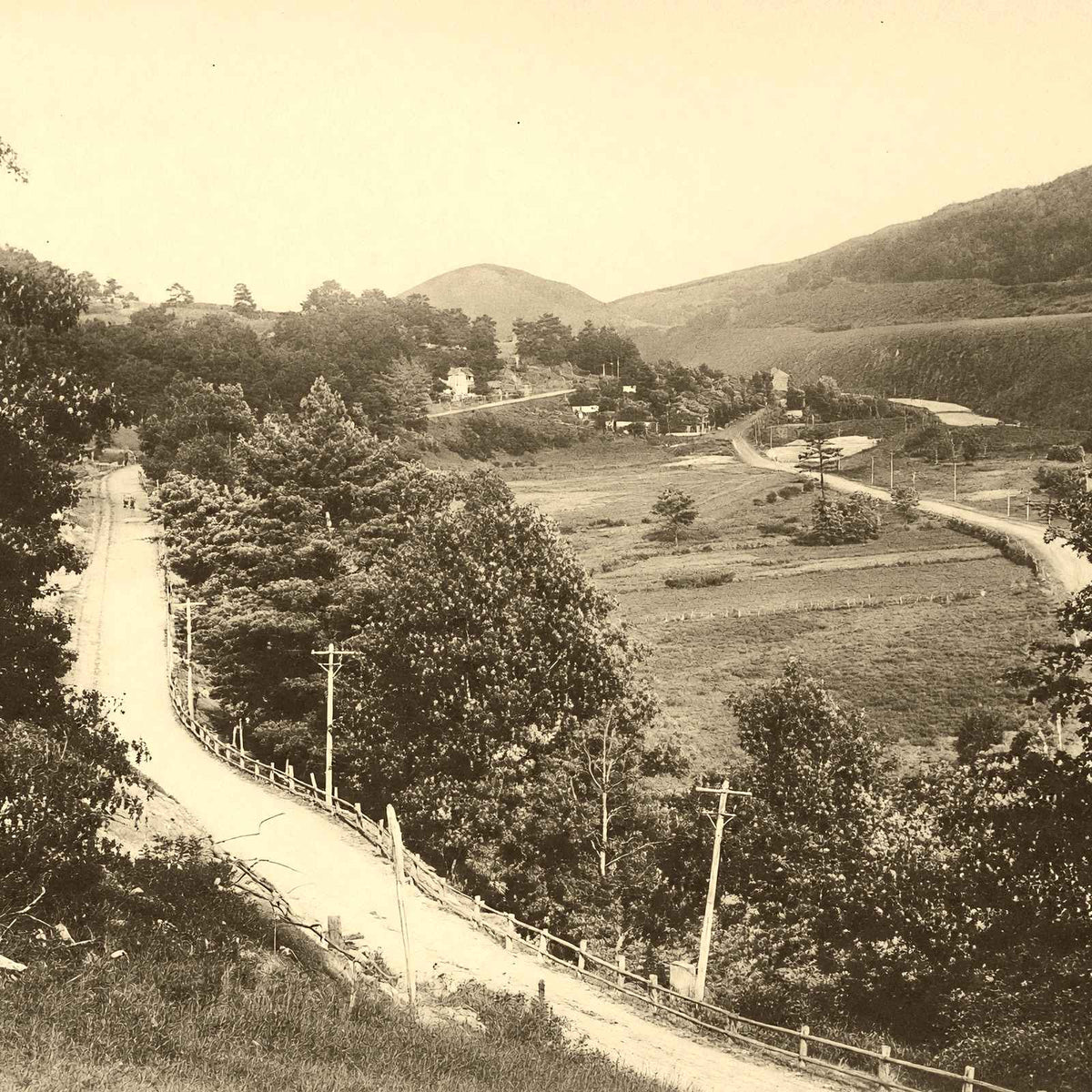 Homesville from Woodland Park, Ashland 1906 vintage photo print