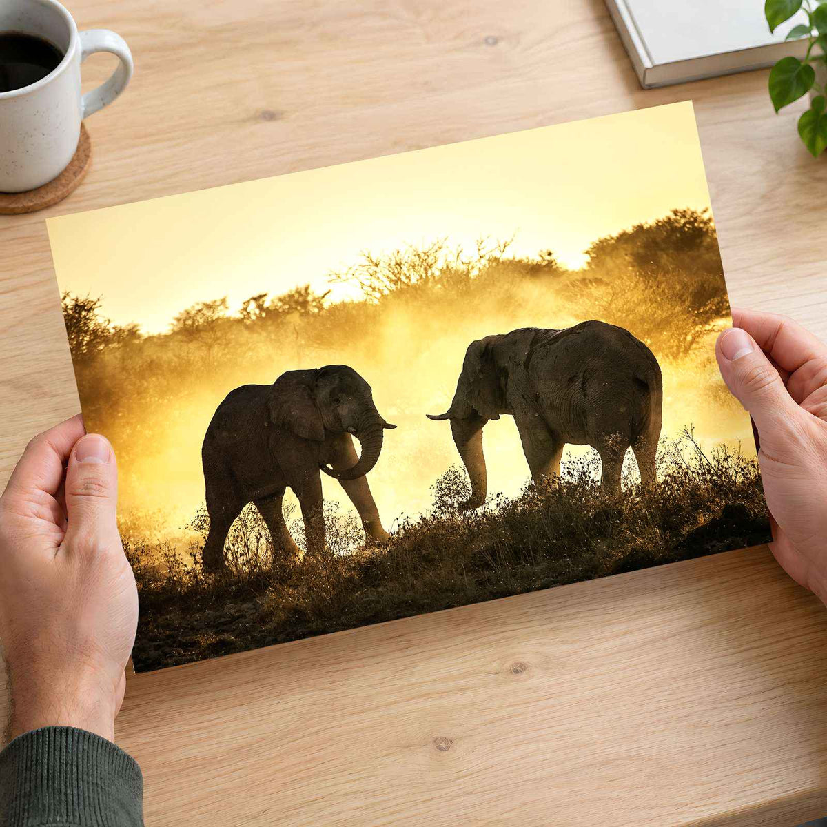 Bull Elephants Fighting Photo Print Wall Decor