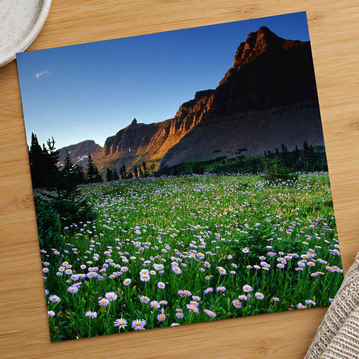 Rocky Mountains National Park Flowers Photo Print Wall Decor