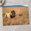 Lion Portrait in Maasai Mara, Kenya Photo Print Wall Decor