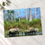Herd of Elephants in India Photo Print Wall Decor