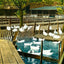 Duck Farm Pond, Allentown, PA in 1907 art print