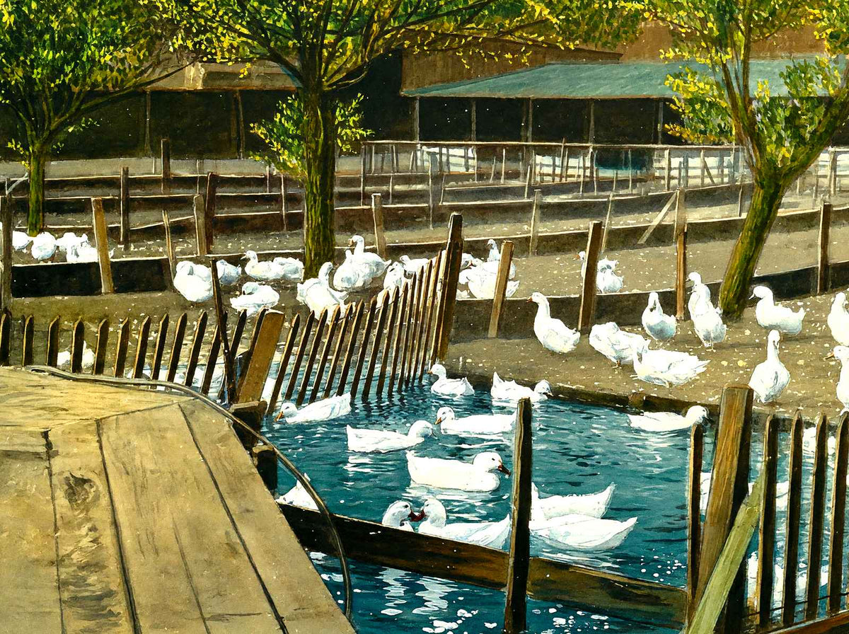 Duck Farm Pond, Allentown, PA in 1907 art print