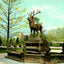 Fountain City Reservoir, Reading PA in 1907 vintage print