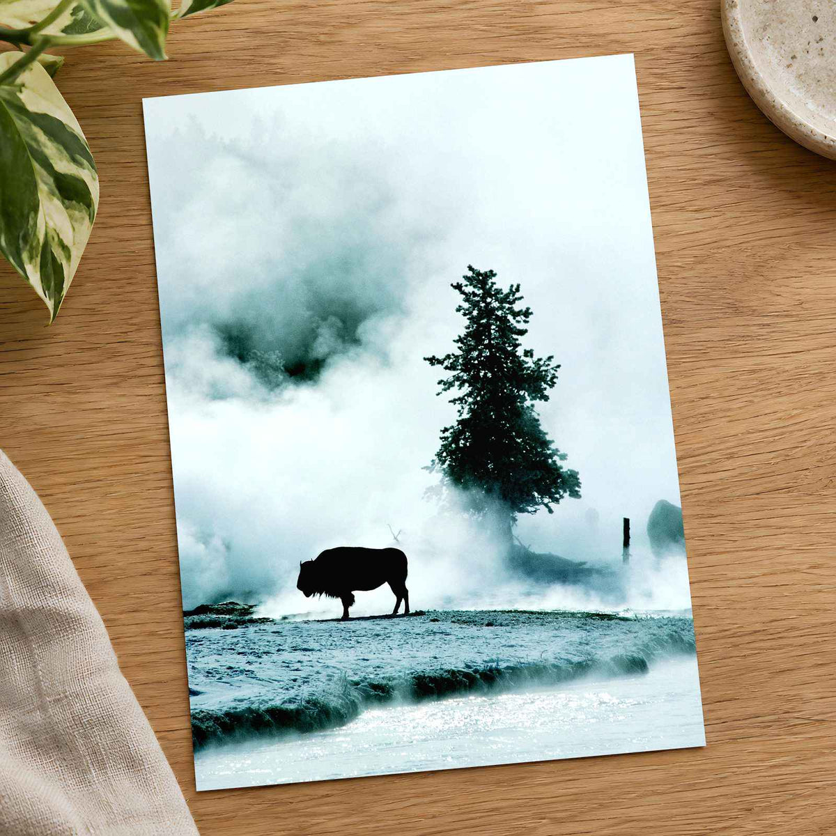 Yellowstone National Park in Wyoming Photo Print Wall Decor