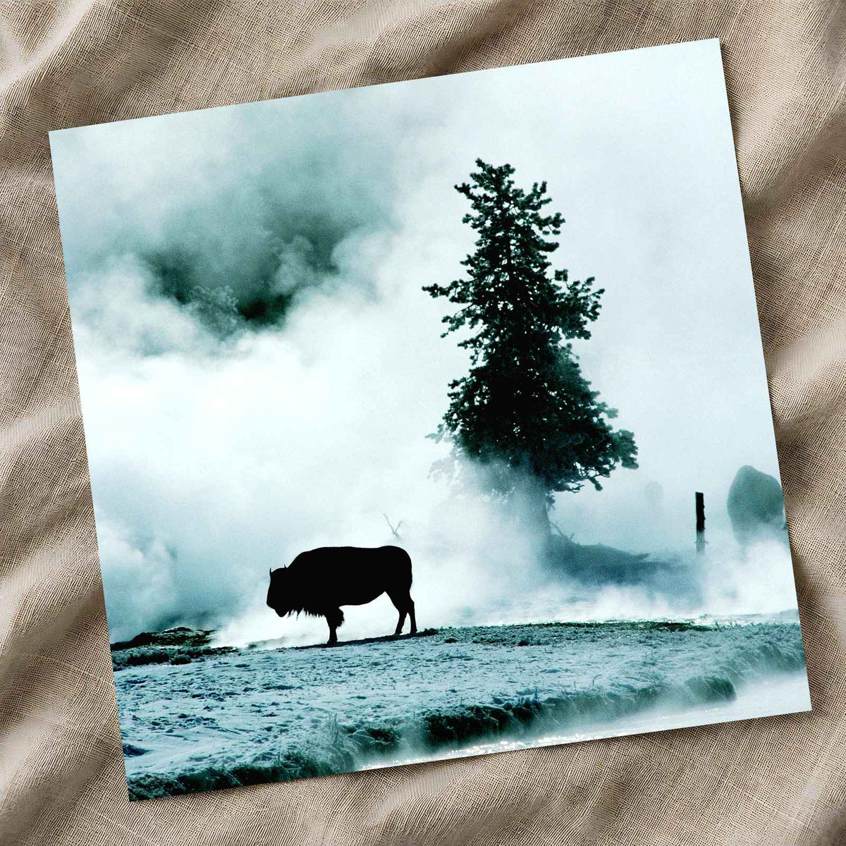 Yellowstone National Park in Wyoming Photo Print Wall Decor