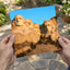 Mount Rushmore in South Dakota Photo Print Wall Decor