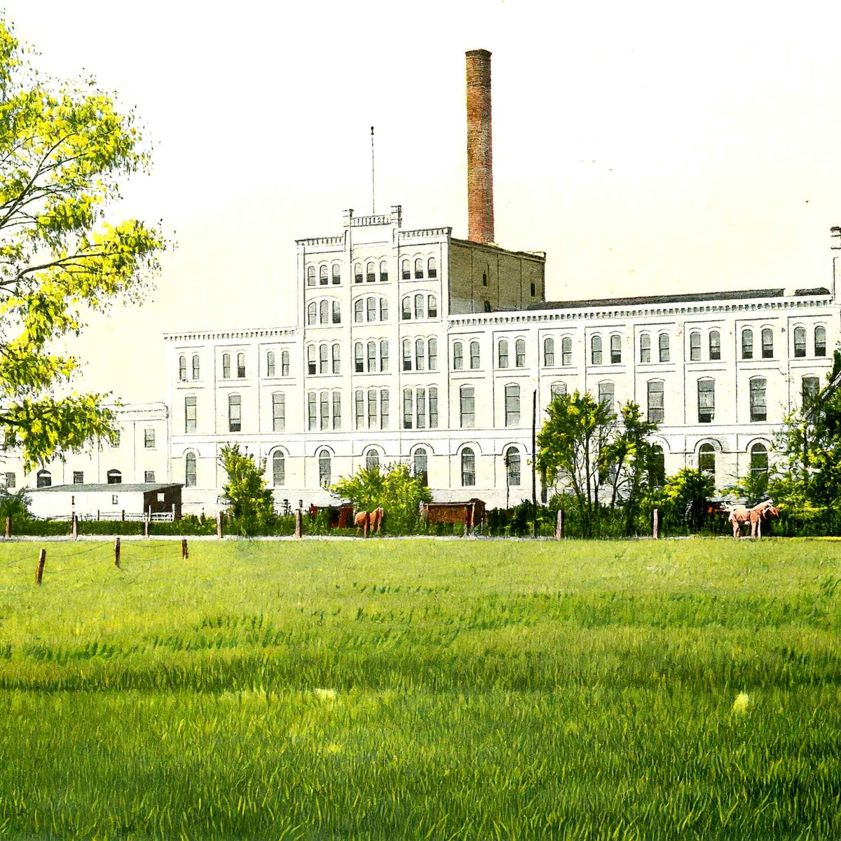 Sugar Beet Factory, Janesville, WI in 1907 vintage print
