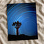 Joshua Tree with Spinning Stars Exposure Photo Print Wall Decor