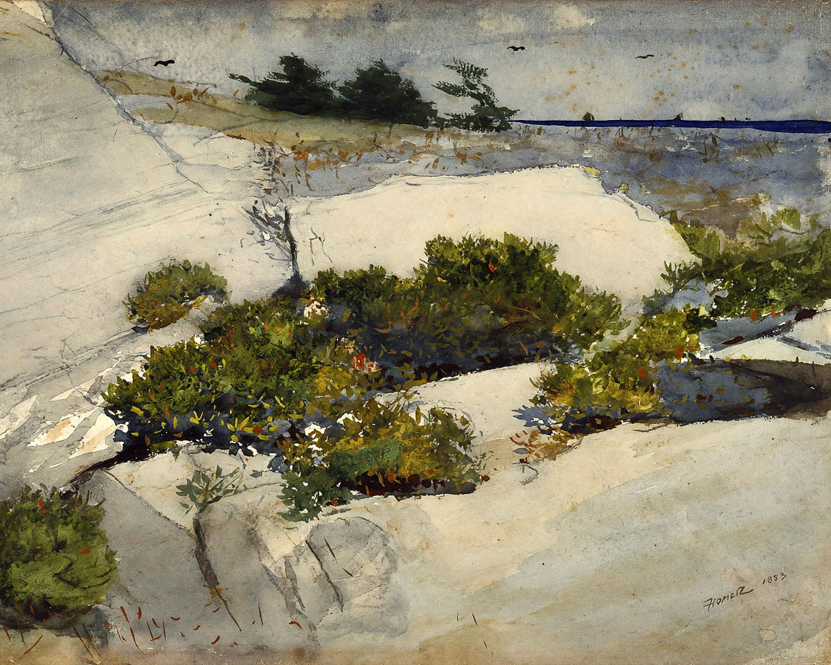 Maine Cliffs fine art print by Winslow Homer (1883)