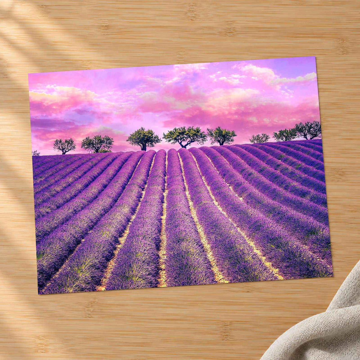 Beautiful Lavender Field in France Photo Print Wall Decor
