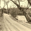 A Mountain Drive, Asheville, NC in 1906 photo print
