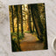 Pacific Northwest Rainforest by Hans Photo Print Wall Decor