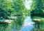 Swannanoa River, Asheville, NC in 1907 art print