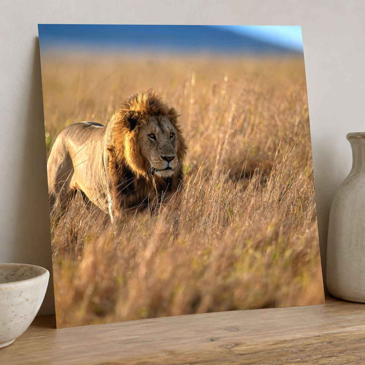 Lion Portrait in Maasai Mara, Kenya Photo Print Wall Decor