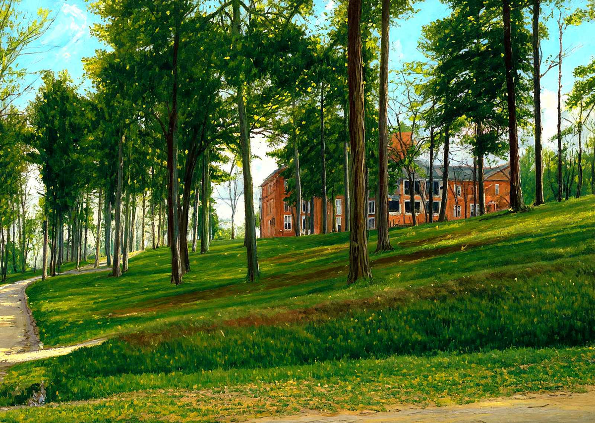 Female College, Greensboro, NC in 1906 art print