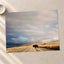 Buffalo Bison Crossing Road by Colin + Meg Photo Print Wall Decor