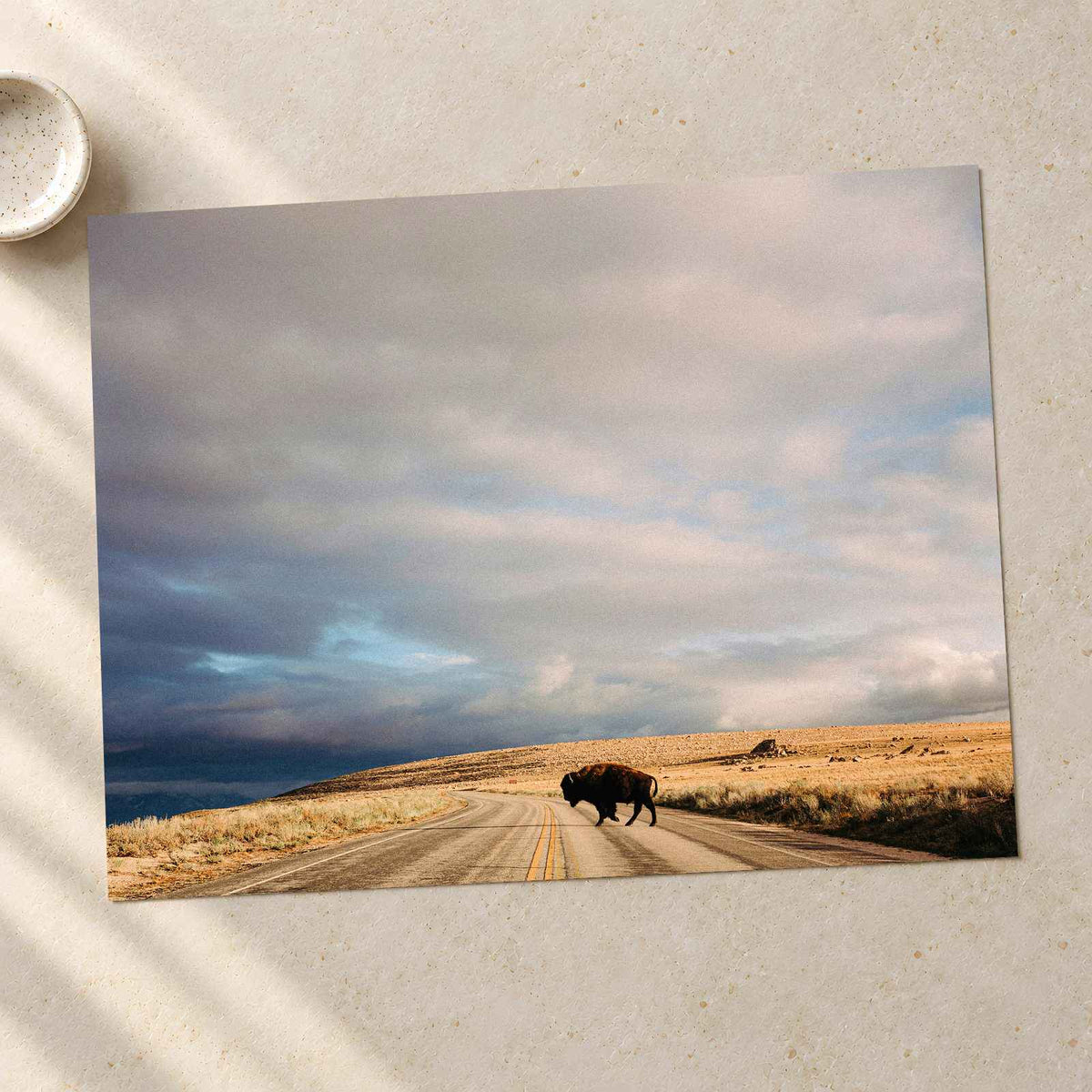 Buffalo Bison Crossing Road by Colin + Meg Photo Print Wall Decor