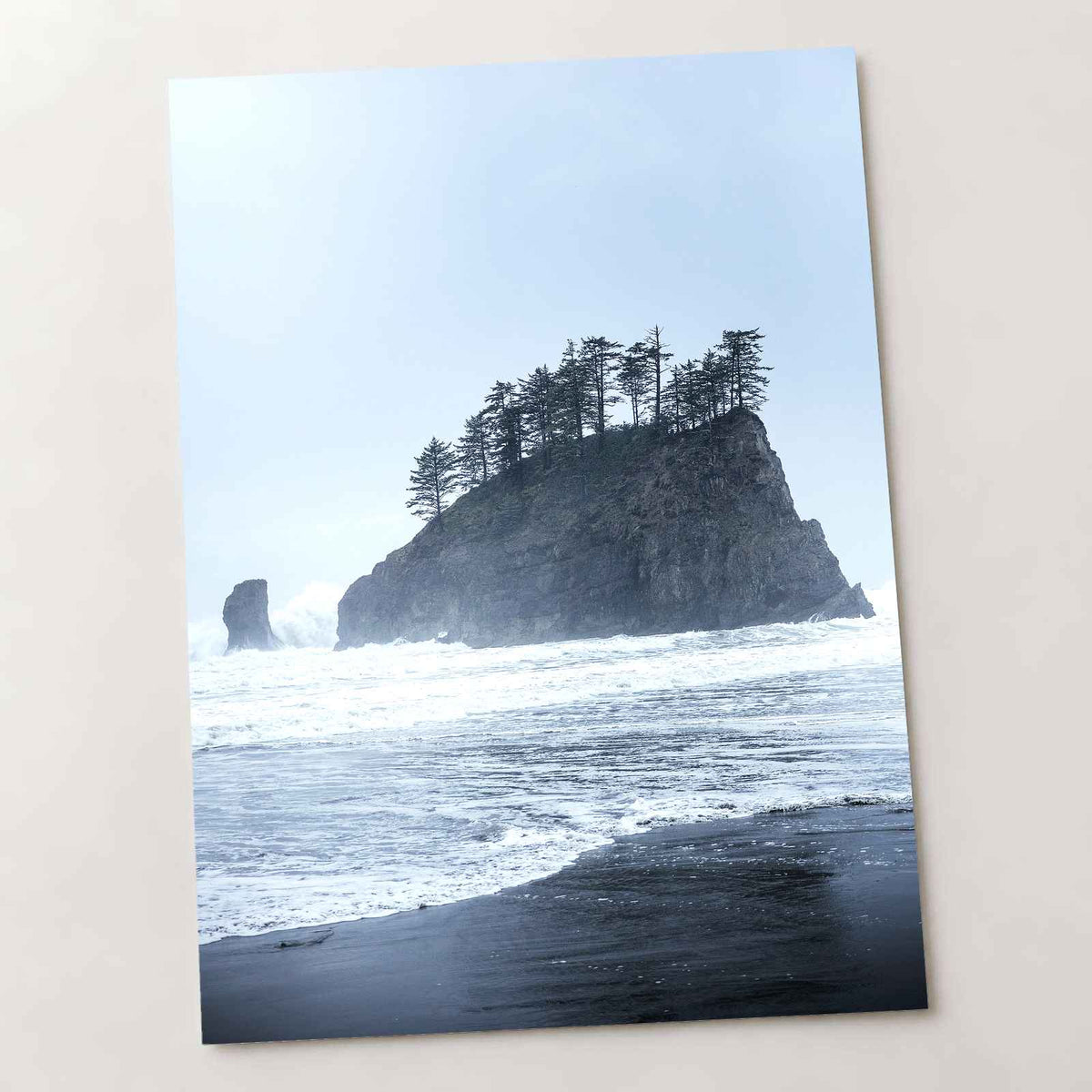 Treed Rock in Ocean by Joshua Earle Photo Print Wall Decor