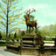Fountain City Reservoir, Reading PA in 1907 vintage print