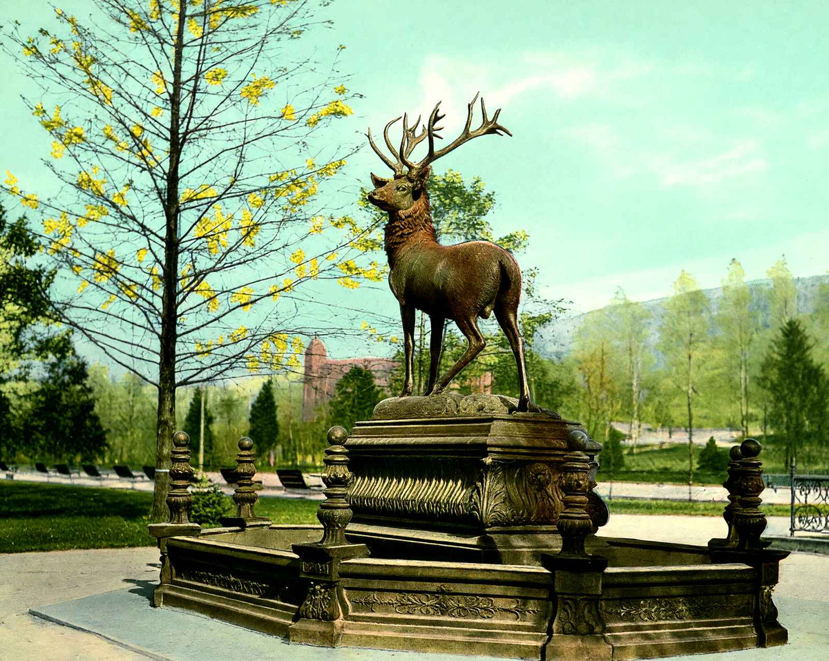 Fountain City Reservoir, Reading PA in 1907 vintage print