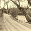 A Mountain Drive, Asheville, NC in 1906 photo print