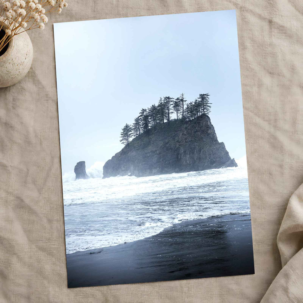 Treed Rock in Ocean by Joshua Earle Photo Print Wall Decor