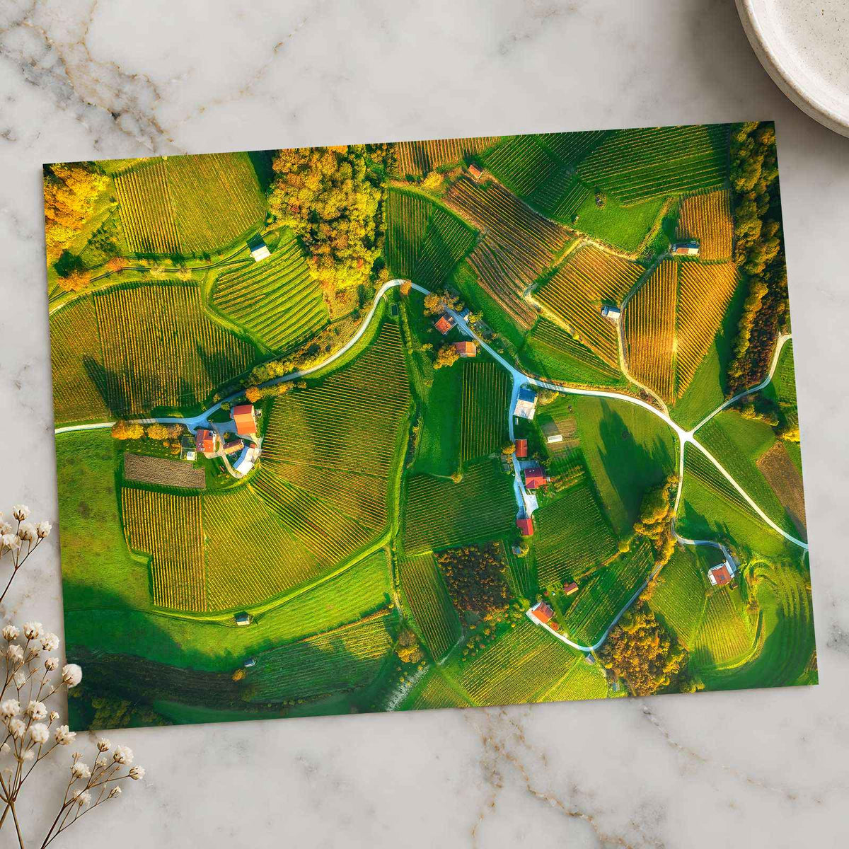Vineyards from Above by Ales Krivec Photo Print Wall Decor