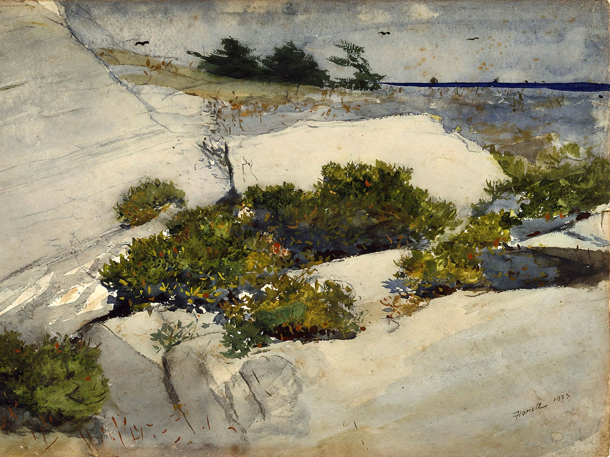 Maine Cliffs fine art print by Winslow Homer (1883)