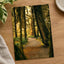 Pacific Northwest Rainforest by Hans Photo Print Wall Decor