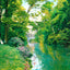 Wissahickon Creek, Philadelphia PA in 1906 art print