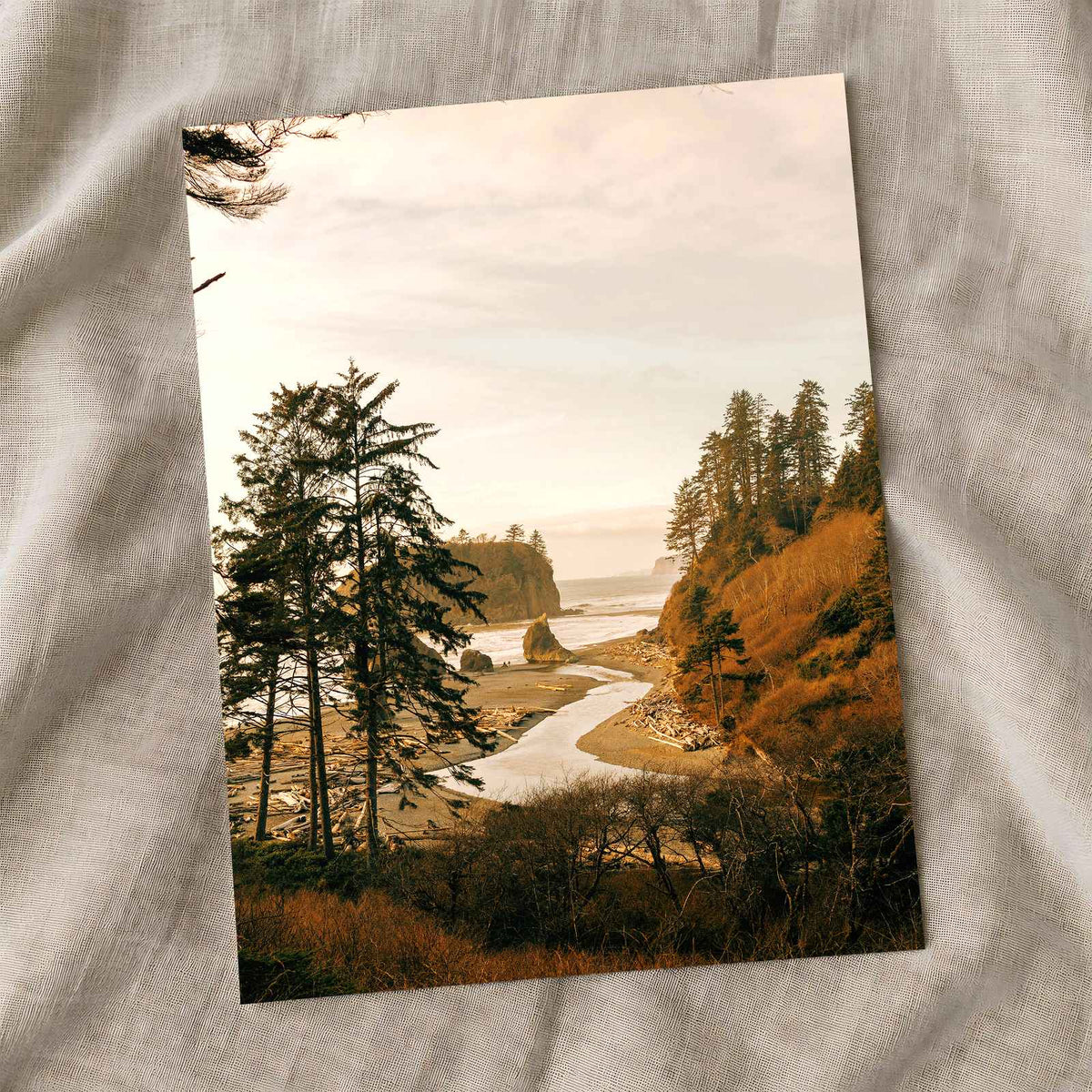 Ruby Beach in Forks, Washington by Hans Photo Print Wall Decor