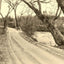 A Mountain Drive, Asheville, NC in 1906 photo print