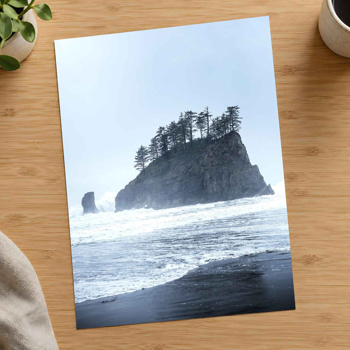 Treed Rock in Ocean by Joshua Earle Photo Print Wall Decor