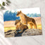 Two Lionesses in Savanna Photo Print Wall Decor