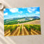 Vineyard in Tuscany, Italy Photo Print Wall Decor