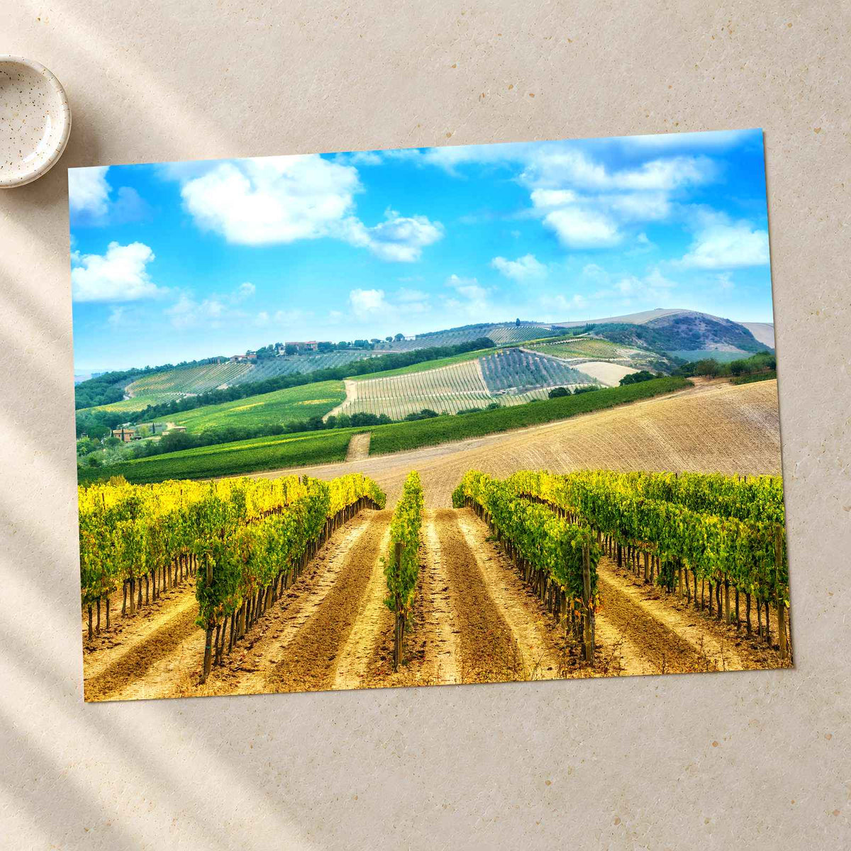 Vineyard in Tuscany, Italy Photo Print Wall Decor