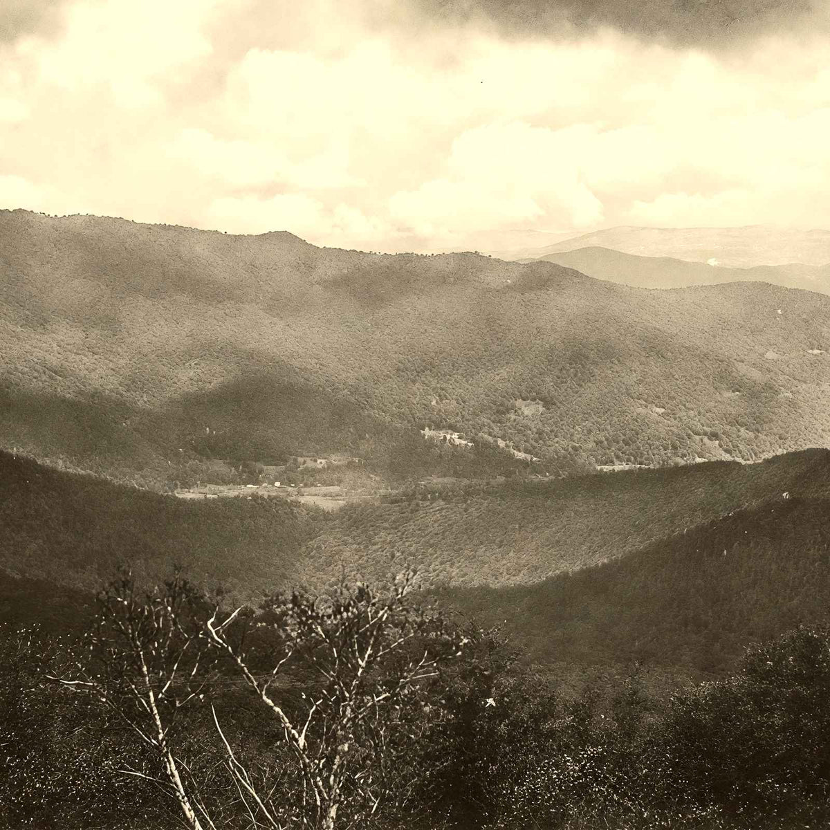 Grey Beard from Craggy Mountain, Asheville NC restored photo print