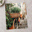 Flower Basket on Bicycle in Rome by Anita Austvika Photo Print Wall Decor