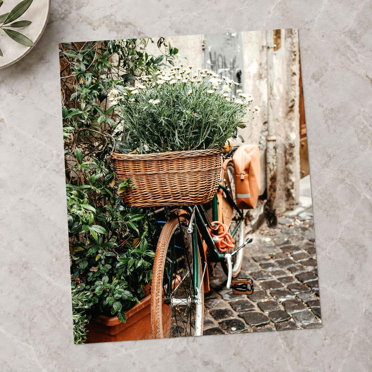 Flower Basket on Bicycle in Rome by Anita Austvika Photo Print Wall Decor