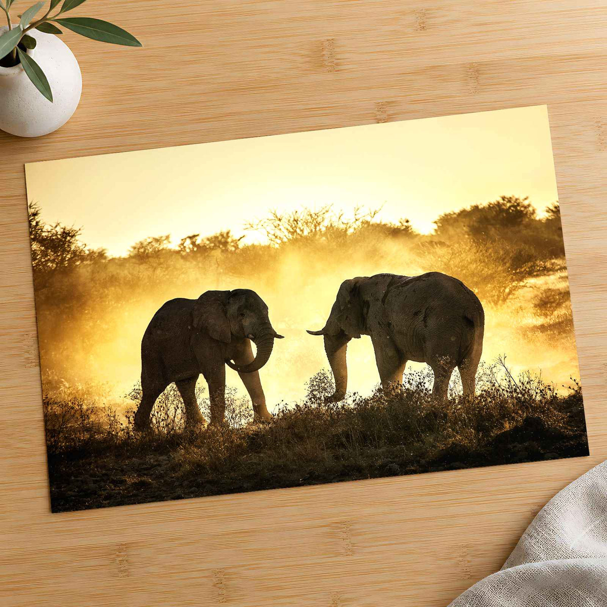 Bull Elephants Fighting Photo Print Wall Decor