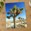Joshua National Park Photo Print Wall Decor