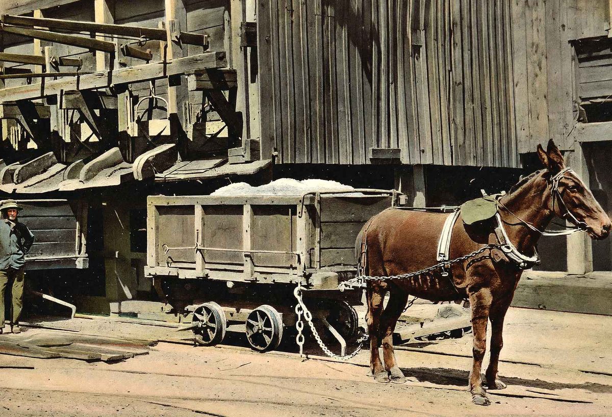 Coal Mining Dirt Chutes in 1908 vintage print