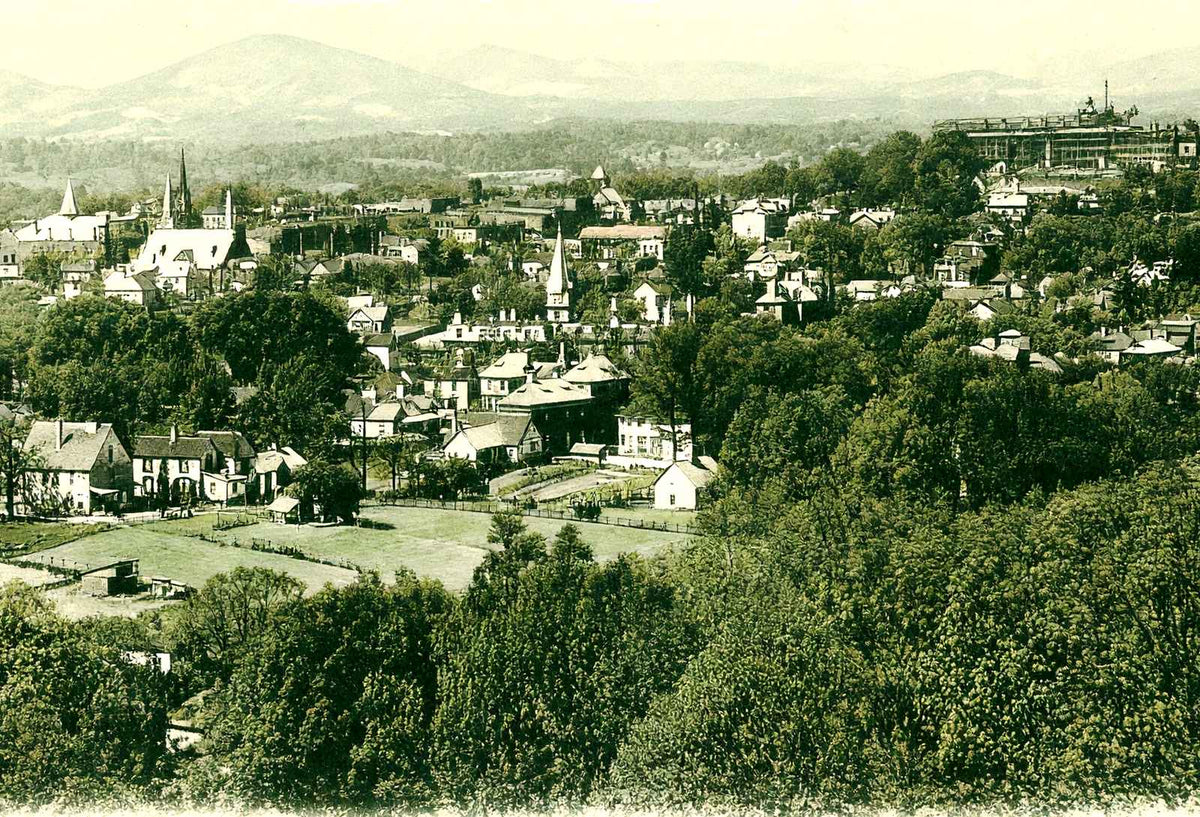 Bird's Eye View, Asheville, NC in 1905 vintage print