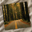 Hoh Rainforest Road, Olympic National Park by Hans Photo Print Wall Decor