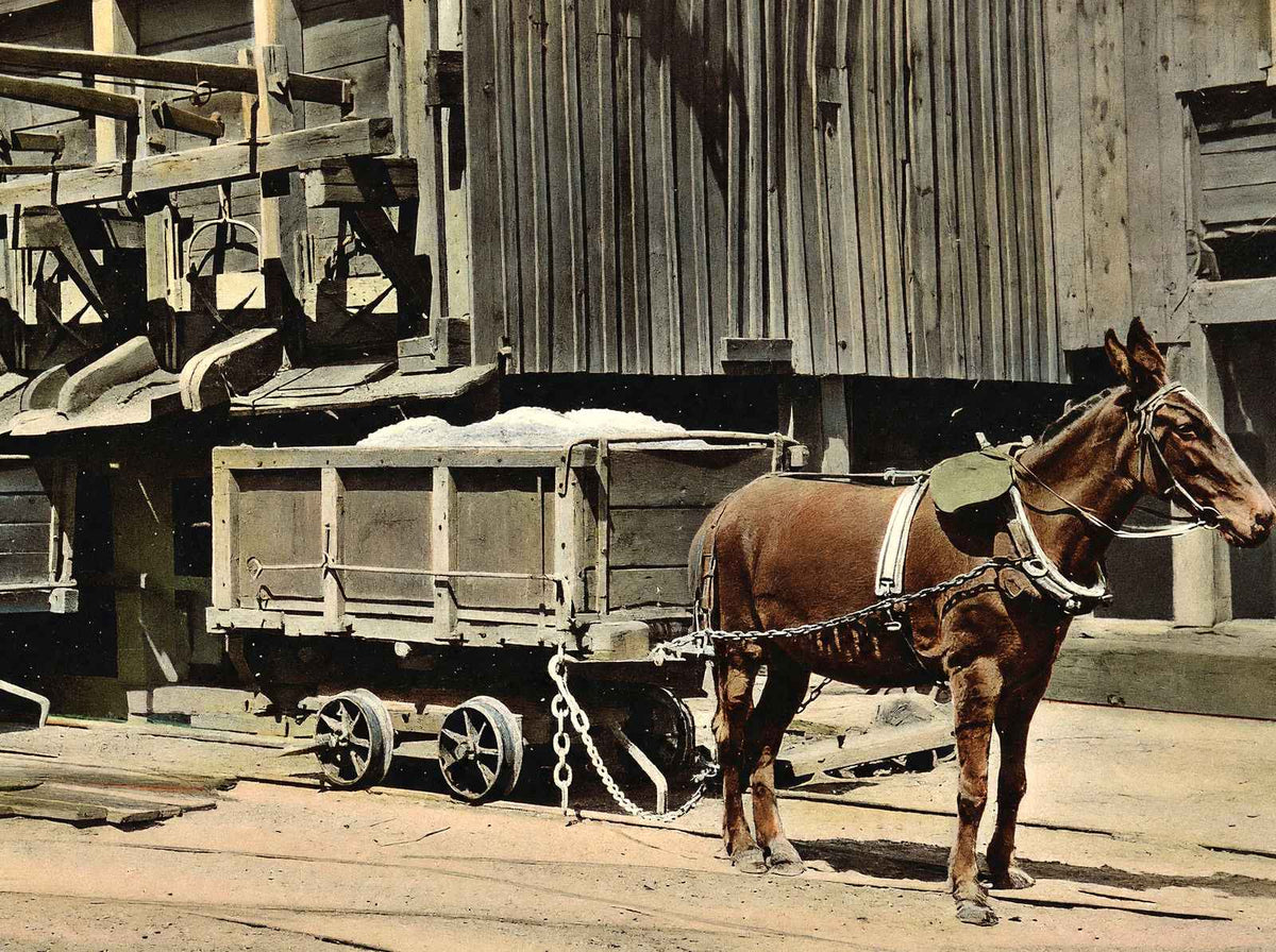 Coal Mining Dirt Chutes in 1908 vintage print